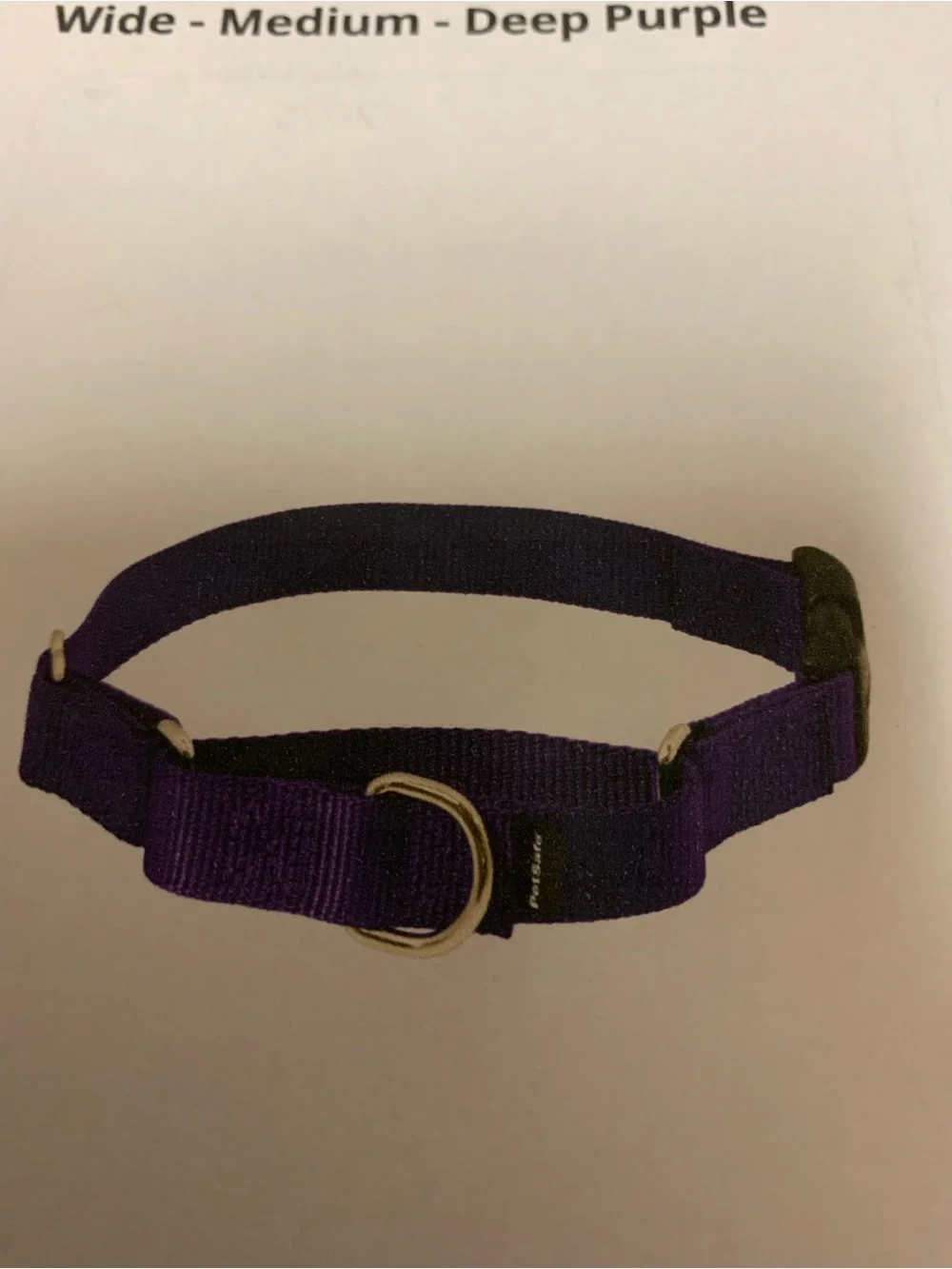 PetSafe Purple Martingale Dog Collar with Quick Snap Buckle  Petsafe Martingale